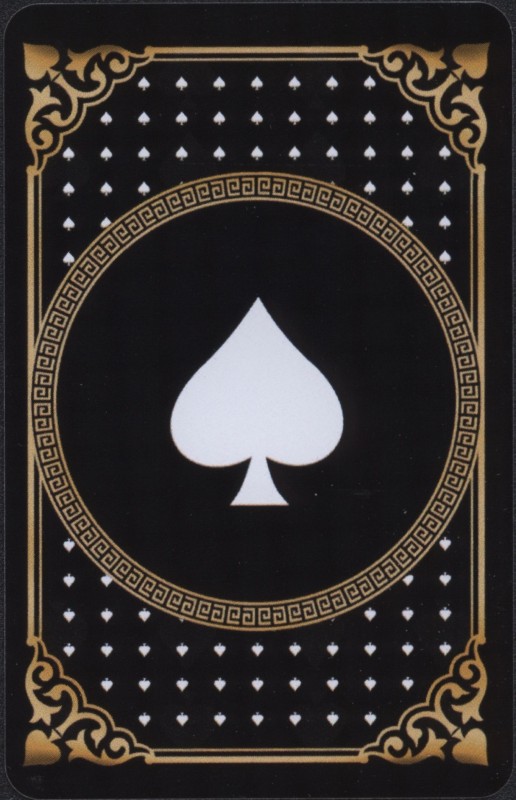 The Game of Spades by Aaron Parker & Expert Playing Cards